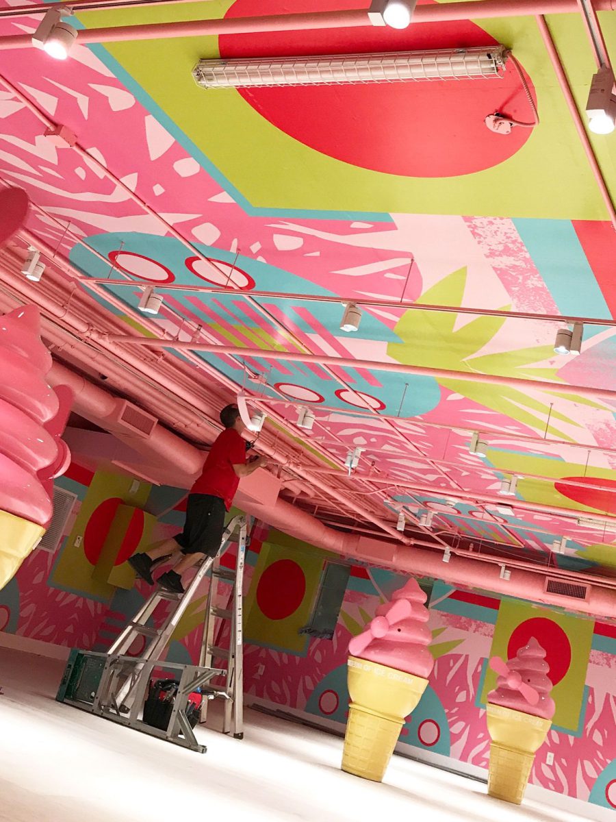 Ceiling canopy · Ceiling install