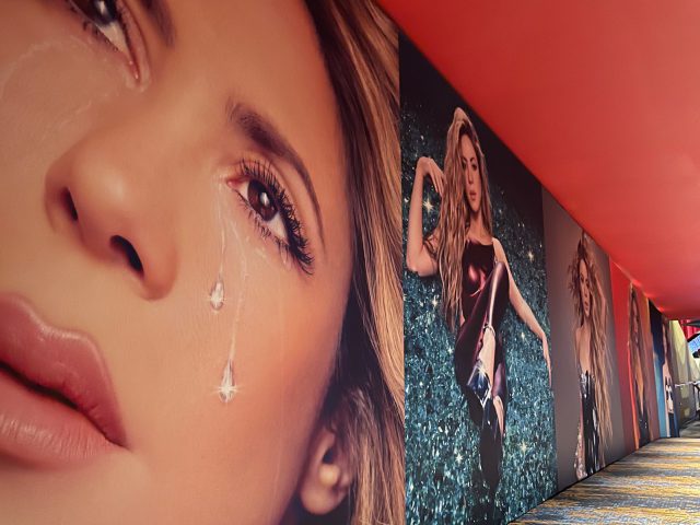 Portfolio work printed and installed by Binick Imaging, Miami